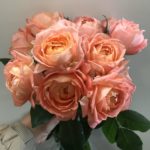 Принцесса Айко Princess Aiko — изображение 4